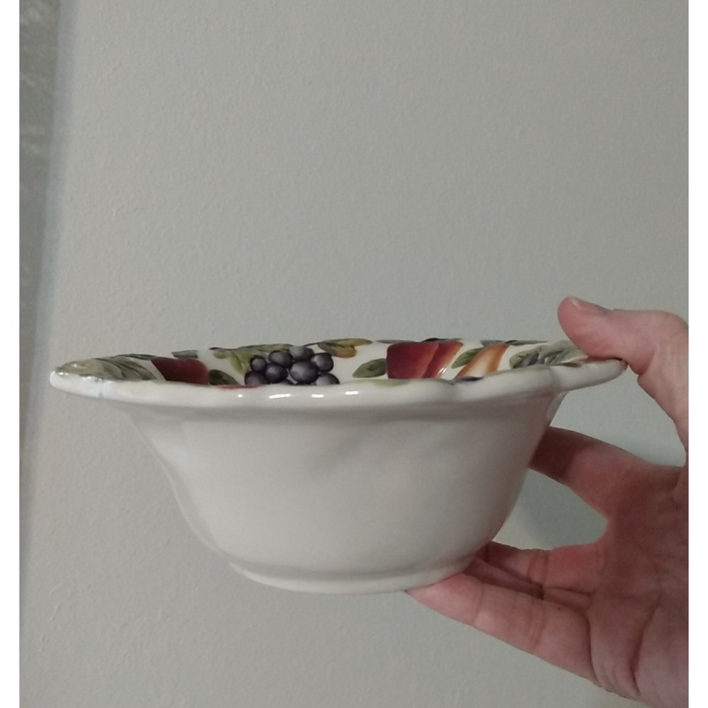 Home Interior Sonoma Villa Earthenware Ceramic Cereal Bowl Raised Fruit Pattern - Picture 5 of 10